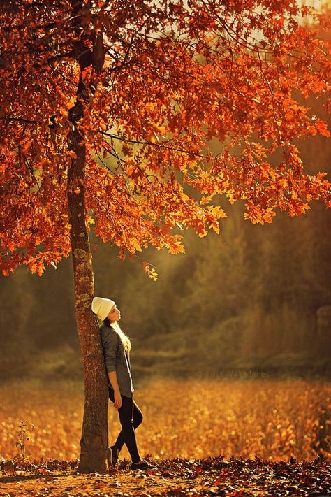 15 Fall Photoshoot Ideas To Get Some Serious Inspo - Society19 Autumn Photography Portrait, Portret Feminin, Fall Shoot, Fall Portraits, Photographie Portrait Inspiration, Shotting Photo, Photographie Inspo, Have Inspiration, Foto Tips