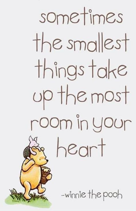 The Smallest Things Winnie the Pooh Selamat Hari Valentine, Vintage Pooh, Pooh Nursery, Now Quotes, Baby Theme, Classic Pooh, Fina Ord, Winnie The Pooh Quotes, Pooh Quotes