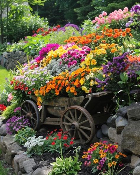 7 gorgeous wheelbarrow planter ideas Wheelbarrow Planter Ideas, Wheelbarrow Planter, Ornamental Kale, Creeping Jenny, Rustic Planters, Seasonal Displays, Tiny Plants, Trailing Plants, Planter Ideas