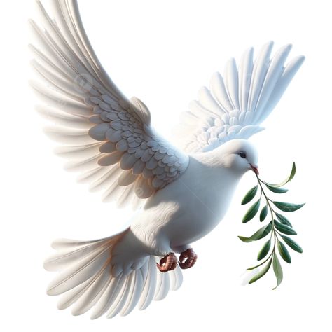 Dove Olive Branch, Dove With Olive Branch, Jesus Christ Portrait, Dove Tattoo Design, Dove Images, Spiritual Pictures, Dove Pictures, Wedding Background Images, Worship Art