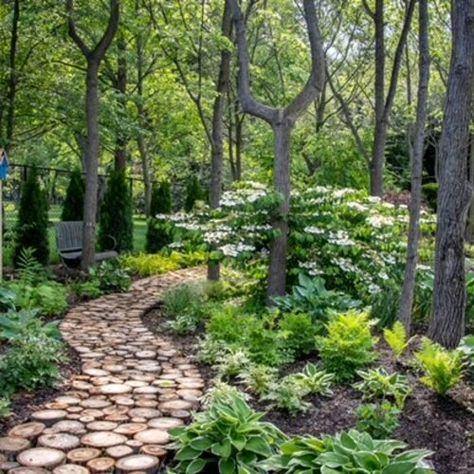 Pretty Pathways, Gardening Photos, Japanese Inspired Garden, Drought Tolerant Shrubs, Fine Gardening Magazine, Woodland Walk, Fine Gardening, New Garden, Forest Garden