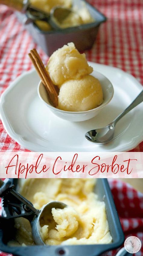 Sherbet Recipes, Eye Scream, Weight Watcher Desserts, Sorbet Ice Cream, Fall Drink, Frozen Dessert Recipe, Recipes For One, Homemade Ice Cream Recipes, Sorbet Recipes