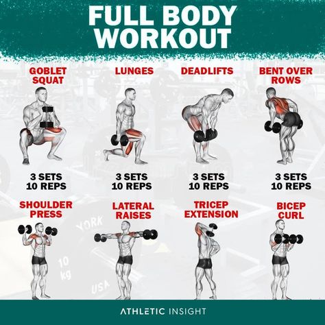 Full Body Workout Plan, Gym Workout Guide, Workout Program Gym, Latest Workout, Gym Workout Planner, Wod Workout, Full Body Workout At Home, Gym Workout Chart, Workout Routine For Men