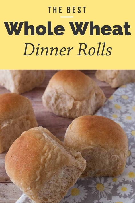 Looking for a healthy dinner roll option? Try my whole wheat dinner rolls. Not only are they fluffy, they are easy to make, contain honey and are eggless! Whole Wheat Dinner Rolls, Oatmeal Dinner, Wheat Dinner Rolls, Wheat Rolls, Whole Wheat Rolls, Dinner Meat, Dinner Keto, Dinner Roll, Healthy Honey