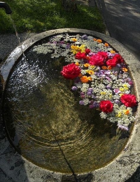 Study Cottagecore, Kebun Herbal, Interior Boho, Flower Bath, التصميم الخارجي للمنزل, Jolie Photo, Nature Aesthetic, Pretty Flowers, Bird Bath