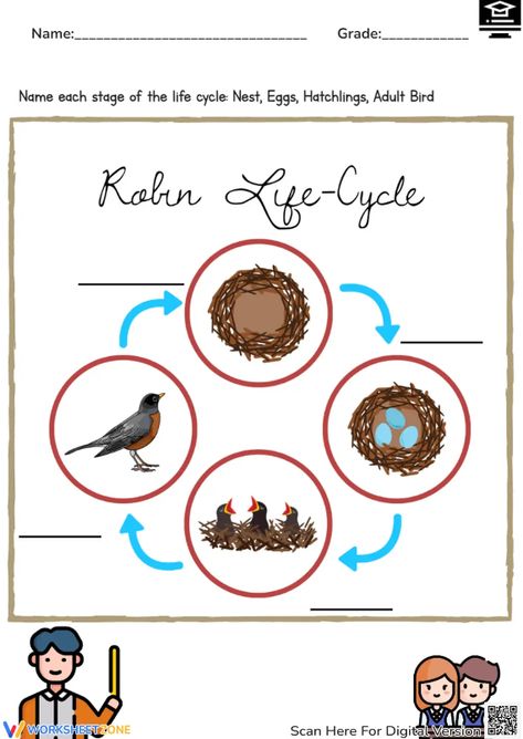 Help students explore the basic stages of a robin bird life cycle through this engaging worksheet. Name each stage of the life cycle with the given word bank. You also can play interactive at our website. Let's check it out! #science #scienceworksheets #birdlifecycle #livingthings #animalslifecycle #lifecycle #stages #lifecycleofabird #birds #robin #printables #worksheet #kidsactivities #birdlifecycleforkids #diagrams #interactive Bird Life Cycle, Birds Robin, Life Cycle Worksheet, Human Life Cycle, A Robin, Robin Bird, Word Bank, Science Worksheets, Cycling Art