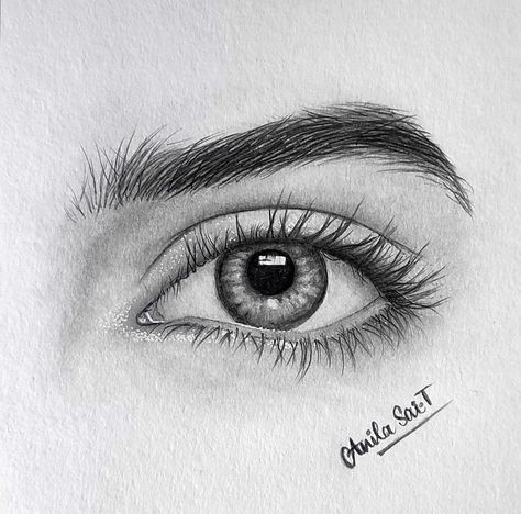 Pencil Shading Eyes, Eye Pencil Shading, Human Eyes Drawing, Eyes Sketch Pencil, Eye Sketch Realistic, Eye Sketch Easy, Anatomy Shading, Drawing Realistic Eyes, Realistic Eye Sketch