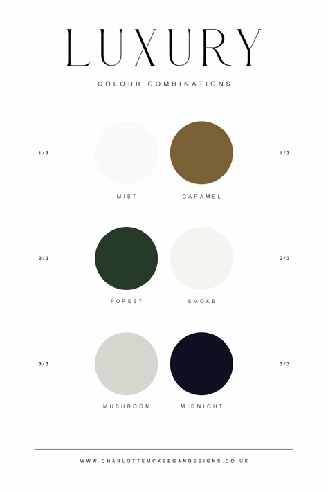 Here is some of my favourite luxury colour combinations! This is a great starting point for you to create a colour palette from these Business Professional Color Palette, Luxury Dark Color Palette, Professional Business Color Palette, Colour Palette For Luxury Brand, Luxury Modern Color Palette, Website Ideas Inspiration Color Schemes, White And Black Colour Palette, Luxury Branding Colors Palette, Luxury Bedroom Colour Schemes