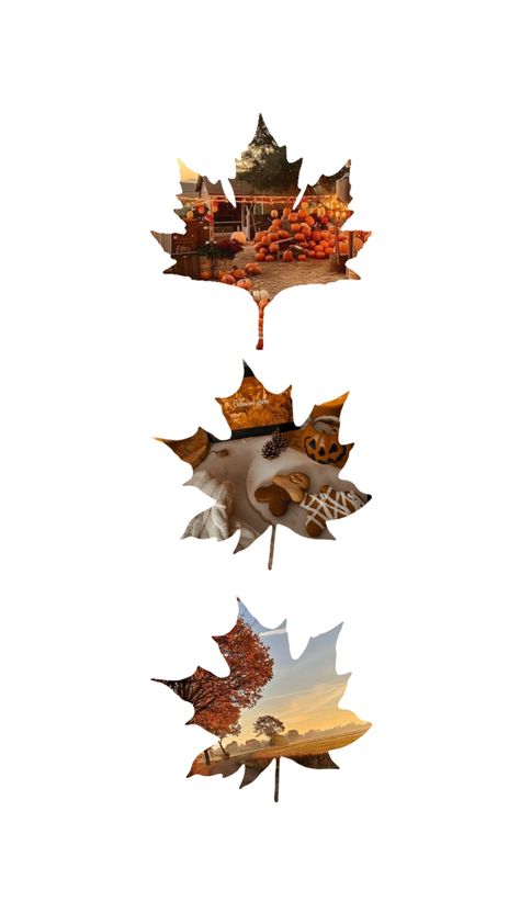 maple leaves, fall, autumn, cute, wallpaper, background Autumn Cute Wallpaper, Cute Wallpaper, Leaves Fall, Maple Leaves, Fall Autumn, Maple Leaf