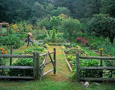 French Cottage Garden, Plantarea Legumelor, Kebun Herbal, Potager Garden, The Secret Garden, Vegetable Garden Design, Garden Tours, Plants And Flowers, Garden Care