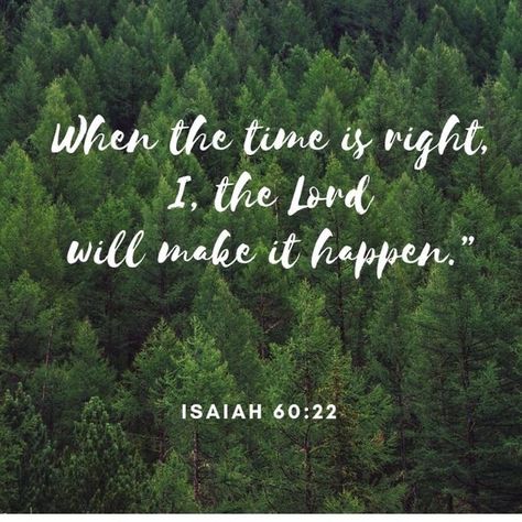 Verses About Patience, Bible Verses About Patience, Bible Verses For Girls, Uplifting Bible Verses, Bible Verses About Faith, Prayer Verses, Inspirational Bible Quotes, Diet Motivation, Inspirational Bible Verses