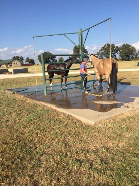 Diy Horse Paddock, Feed Room Organization Horse, Horse Halter Storage, Horse Water Trough Ideas, Outdoor Wash Rack For Horses, Horse Grooming Stall, Horse Bathing Station, Horse Property Ideas, Horse Ranch Ideas