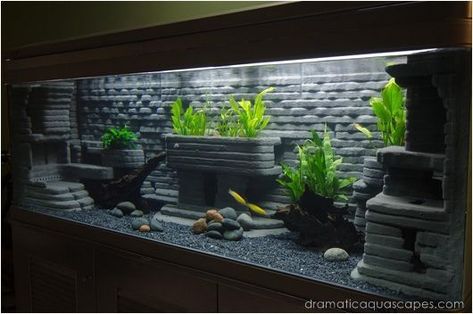 Diy Aquarium Background, Diy Aquarium Decor, Aquarium Tips, Cichlid Aquarium, Fish Tank Themes, Amazing Aquariums, Fish Tank Design, Aquarium Pump, Aquarium Terrarium