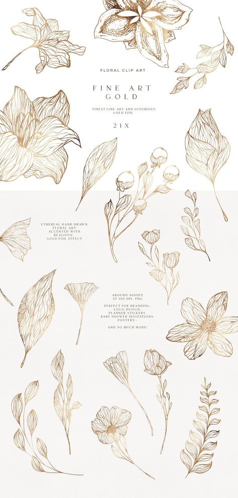 Festive golden botanical line art, adding the perfect elegant Holiday look to your Christmas cards. Discover the ultimate elegance of floral clip art: Golden line art flowers and botanicals, carefully hand drawn and accented with gold foil textur... Gold Flower Drawing, Golden Illustration, Gold Graphic Design, Flower Graphics, Flower Line Art, Gold Foil Texture, Instagram Branding Design, Line Art Flowers, Floral Line Art