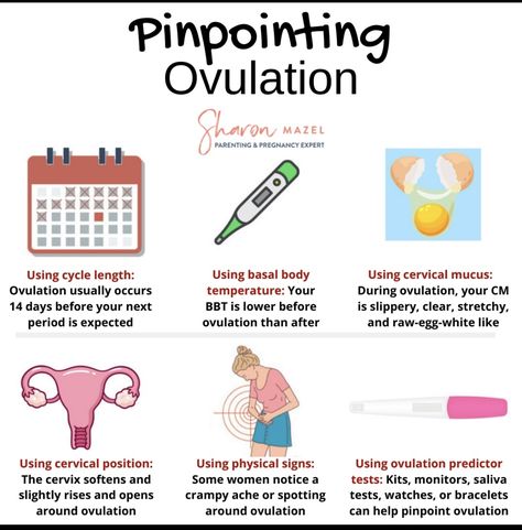 What Is Ovulation, Ovulation Tracking, Getting Pregnant Tips, Cervical Mucus, Womb Healing, Pregnancy Info, Fertility Awareness, Fertility Health, Female Fertility