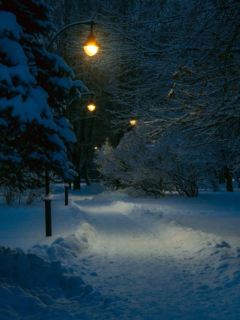 A snowy path with a street light in the distance photo – Free Nostalgic Image on Unsplash Snowy Streets At Night, Snowy Street Night, Gloomy Christmas, Snowy Path, Snowy Street, Night To Shine, It's Snowing, Nostalgic Images, Snowy Trees