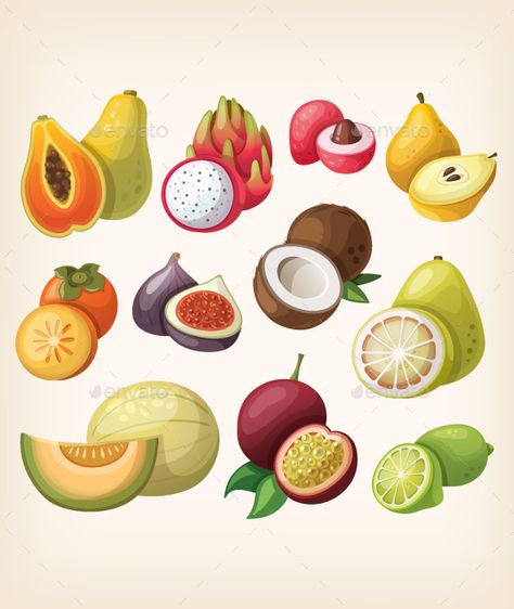 Set of Exotic Fruit. Vintage Christmas Toys, Fruit Icons, Fruit Vector, Vector Food, Different Fruits, Fruit Illustration, Colorful Fruit, Exotic Fruit, Fruit Design