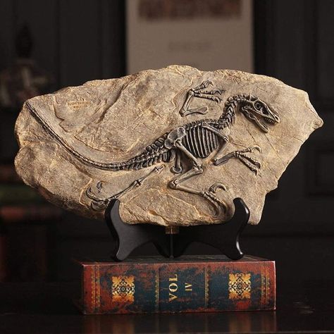 Resin Dinosaur Fossil Statues Stone Decoration, Dinosaur Fossil, Velociraptor Dinosaur, Dinosaur Skeleton, Dinosaur Decor, Dinosaur Fossils, Decorative Sculpture, A Dinosaur, Animal Statues