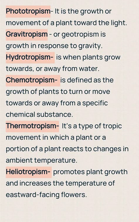 Botany Botany Journal Ideas, Botany Study Tips, Botany For Beginners, Botany Student Aesthetic, Plant Psychology, Medicinal Botany, Botanist Aesthetic, Biology Basics, Botany Notes