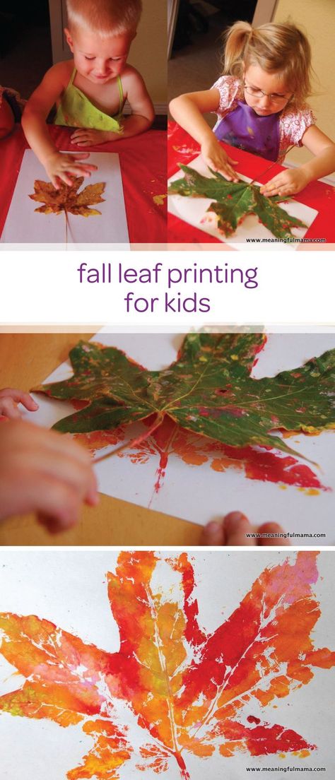 Let your little one enjoy an afternoon of painting and making a mess with child-safe paint and create this fall leaf printing toddler craft. This is a quick and creative DIY project that can easily double as a fun learning activity for your toddler to practice their fine motor skills. Høstaktiviteter For Barn, Leaf Printing, Toddler Craft, Fall Preschool, Diy Thanksgiving, Autumn Crafts, Fall Crafts Diy, Fall Crafts For Kids, Toddler Art