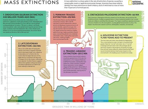 Geologic Time Scale, Species Extinction, Mass Extinction, Physical Geography, 8th Grade Science, Environmental Change, Earth Atmosphere, Life On Earth, Animal Species