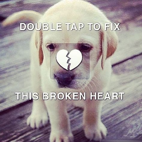 heart picture that says double tap | Double tap the broken heart to fix it. | Flickr - Photo Sharing! Instagram Heart, Pet Couches, Heart Pictures, Wall Papers, Mood Off Images, Bad Dog, Dog Tattoo, Jokes Funny, Dog Tattoos