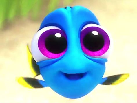 ¿Ya están listas para Buscando a Dory? Mientras esperamos a que se estrene la película les tenemos este clip en el que podemos ver a nuestra pez favorita cuando era bebé. ¡Una hermosura!   Las reto a verlo completo sin decir “awww”.     ¿No la aman? Dory Memes, Finding Dory Baby, Baby Dory, New Animation Movies, Lindo Disney, Disney Play, Disney Mignon, Kids Comedy, Animation Disney