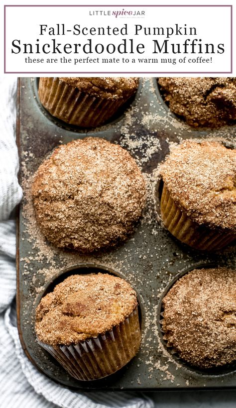 Pumpkin Ginger Muffins, Pumpkin Snickerdoodle Muffins, Muffin Recipes Pumpkin, Snickerdoodle Muffins Recipe, Snickerdoodle Muffins, Fall Muffins, Spice Muffins, Pumpkin Spice Muffins, Snickerdoodle Cookies