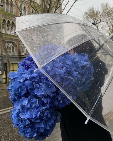 Boquette Flowers, Nothing But Flowers, Inspiration Instagram, Flower Therapy, Beautiful Bouquet Of Flowers, Pretty Plants, Blue Hydrangea, Beautiful Bouquet, My Flower