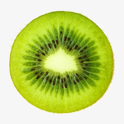 Realistic Kiwi Drawing, Kiwi Reference, Kiwi Fruit Drawing, Kiwi Painting, Kiwi Drawing, Drawing In Circle, Kiwi Slice, Sliced Fruit, Fruit Png