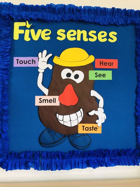 Five Senses Board, Preschool Five Senses, November Bulletin Boards For Preschool, Bulletin Boards For Preschool, Our Five Senses, November Bulletin Boards, Kindergarten Bulletin Boards, Senses Preschool, School Kids Crafts