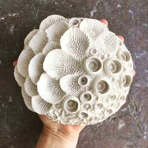 Countless Hand-Scored Notches Comprise Aquatic Sculptures by Lisa Stevens | Colossal Ocean Sculpture, Coral Ocean, Coral Sculpture, Ceramic Art Sculpture, Ceramic Texture, Sculptures Céramiques, Clay Texture, Ceramics Pottery Art, Ceramics Projects