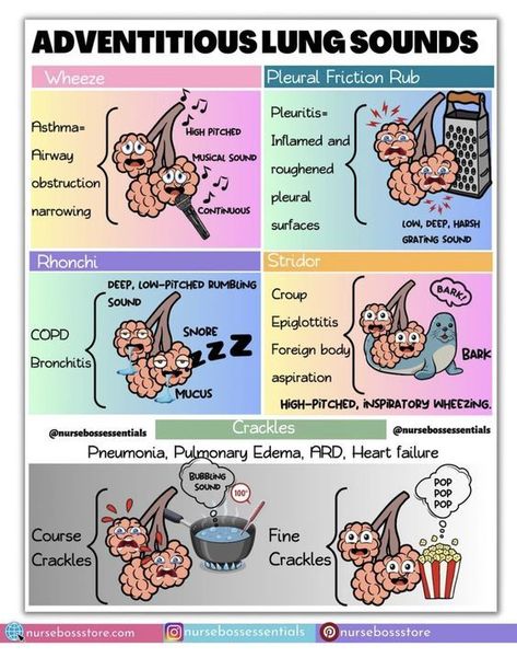 Adventitious Lung Sounds #nursingstudent #nurse #resources - Image Credits: nursebossessentials Breath Sounds Nursing, Lung Sounds Nursing, Auscultating Lung Sounds, Charting For Nurses, Nursing School Organization, Lung Sounds, Paramedic School, Breath Sounds, Nursing Assessment