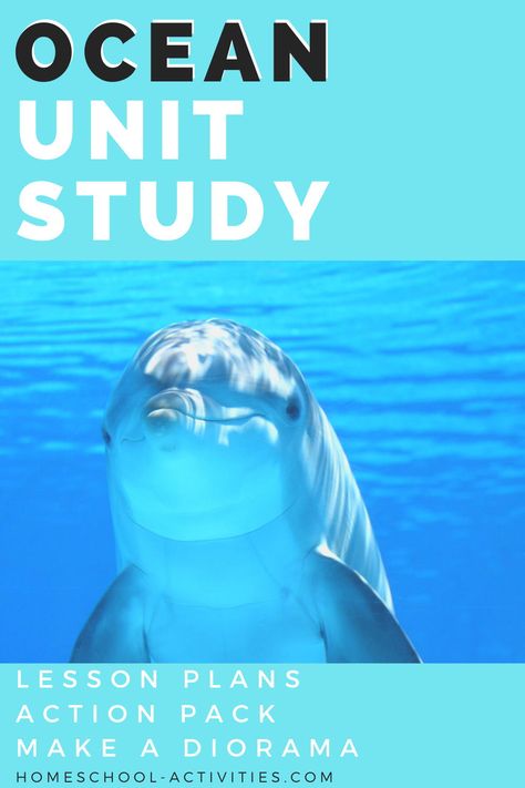 Free Ocean Unit Study, Fish Unit Study, Ocean Education, Ocean Unit Study, Ocean Printables, Ocean Animals Preschool, Homeschool Unit Studies, Make A Volcano, Ocean Lesson Plans