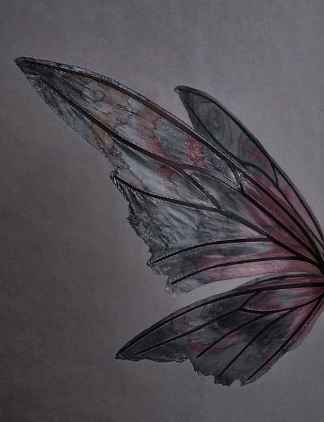 Dark Butterfly Wings, Dark Faerie Aesthetic, Aesthetic Wings, Fairy Wings Aesthetic, Faerie Aesthetic, Fae Aesthetic, Butterfly Aesthetic, Queen Chrysalis, Dark Wings