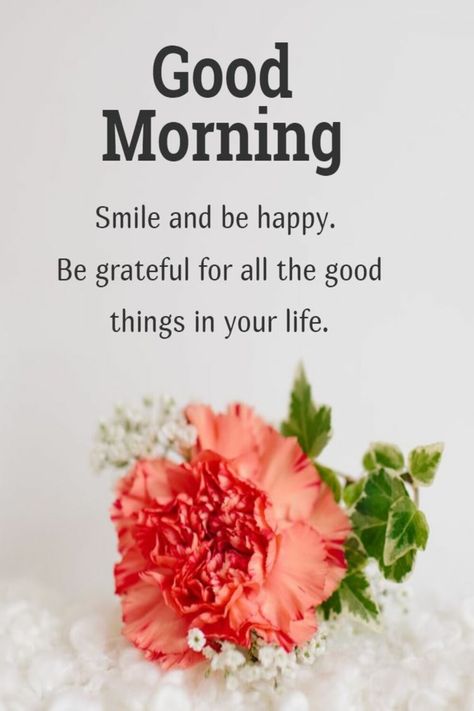 Smile and be happy Be grateful for all the good ❄️💗❄️ things in your life #Good_Morning Silly Sayings, Dussehra Images, Eating Quotes, Good Morning Msg, Sweetheart Quotes, Quotes Morning, Morning Sweetheart, Good Morning Sweetheart Quotes, Flowers Quotes