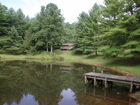 Rustic pond with dock Pond Behind House, Pond With Dock, Lake With Dock, Pond Docks, Pond Pictures, Puddle Jumping, Dream Life House, Future Farms, Duck Pond