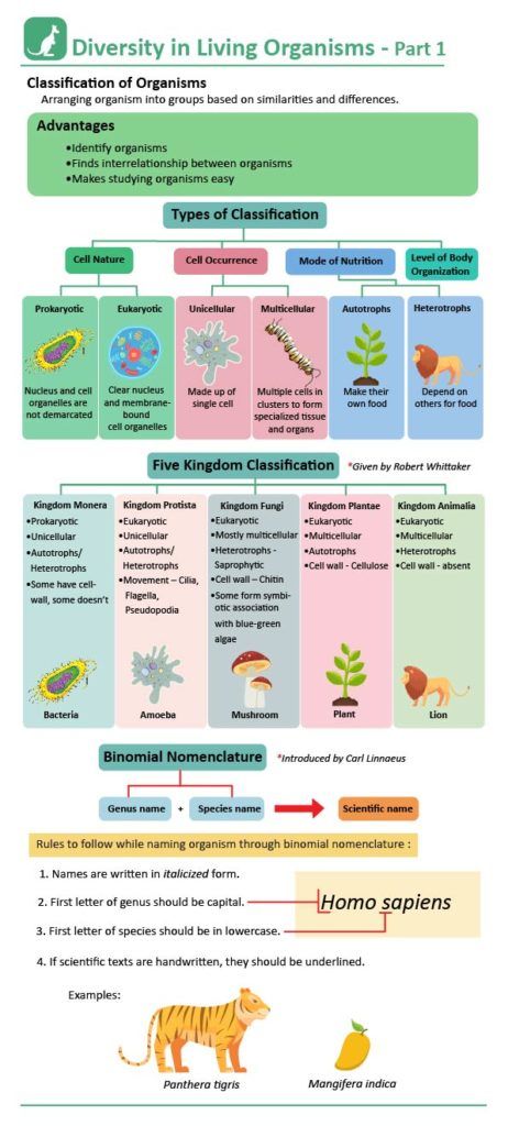 Five Kingdom Classification: Kingdoms, Features, Examples with Videos Biology Kingdoms Animal Classification, Characteristics And Classification Of Living Organisms Notes, Classification Of Living Organisms, Evolution And Classification Of Life, Class 11 Biology Notes Plant Kingdom, Classifications Of Living Things, Classification Biology Notes, Animal Kingdom Biology Notes, Classification Of Animal Kingdom