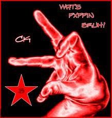 u know what it is South Side Gang Signs, North Side Gang Sign, Bloodz Gangsta, Blood Gang Wallpaper, Blood Gang, Bloods Quote, Pfp Pictures, Black Love Artwork, Black Power Art