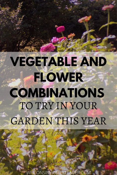 VEGETABLES AND FLOWER COMBINATIONS Interplanting Vegetables, Companion Planting Layout, Plants For Planters, Planting Layout, Flower Combinations, Companion Planting Guide, Companion Planting Chart, Companion Planting Vegetables, Companion Gardening