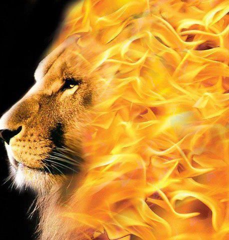 FOR OUR GOD IS A CONSUMING FIRE!   Hebrews 12:29 Could be a cooll concept for a painting. Woord Van God, Lion And Lamb, Tribe Of Judah, Prophetic Art, Lion Art, Lion Of Judah, Lord And Savior, Arte Animal, God Jesus