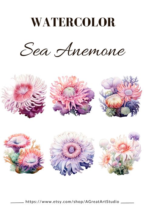 Sea Anemones Drawing, Sea Anemone Art, Sea Anemone Illustration, Sea Anemone Tattoo, Sea Flowers Tattoo, Sea Anemone Drawing, Anemone Ocean, Under The Sea Tattoo, Mermay 2024