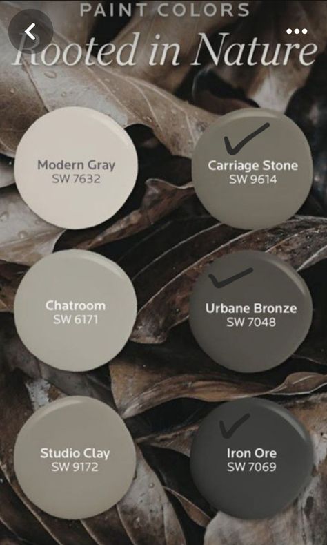 Cabin Bathroom Paint Colors, Inspiring Office Paint Colors, Mountain Home Interior Color Palettes, Gray Color Pallets For The Home, Sherwood Williams Exterior Paint Colors, Cool Toned Paint Colors, Industrial Interior Paint Colors, Woodsy Paint Colors, Rustic Farmhouse Wall Colors