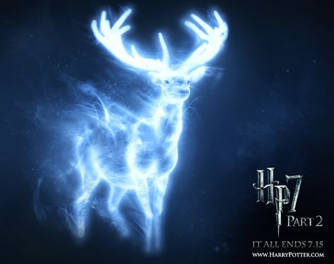 What’s Your Patronus? I got horse-loyal, smart, and willing to take risks for my family and friends. That's so me! Patronus Harry Potter, Harry Potter Expecto Patronum, Harry Potter Quizzes, Behind Blue Eyes, Images Harry Potter, Lily Evans, Ginny Weasley, Harry Potter Love, Harry Potter Characters