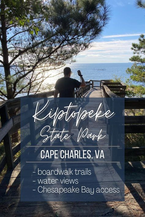 Kiptopeke State Park is filled with boardwalk trails and water views. Close to Cape Charles this state park is fun for summer and fall! Kiptopeke State Park Virginia, Cape Charles Virginia, Cape Charles Va, Chesapeake Bay Bridge, Cape Charles, Virginia Travel, James River, Eastern Shore, Chesapeake Bay