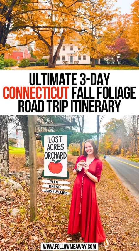 Ultimate 3-Day Connecticut Fall Foliage Road Trip Itinerary Where To Go In Connecticut, Connecticut Travel Fall, Connecticut Road Trip, Hartford Connecticut Fall, Connecticut Fall Foliage, Connecticut Fall Aesthetic, Connecticut Fall Trip, New Haven Connecticut Fall, Things To Do In Connecticut Fall