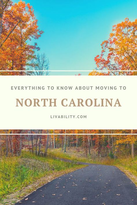 Living In Asheville North Carolina, Moving To Charlotte North Carolina, Moving To Wilmington North Carolina, Moving To Charlotte Nc, North Carolina Living, North Carolina Aesthetic, Living In Charlotte Nc, Jacksonville North Carolina, North Carolina Colleges