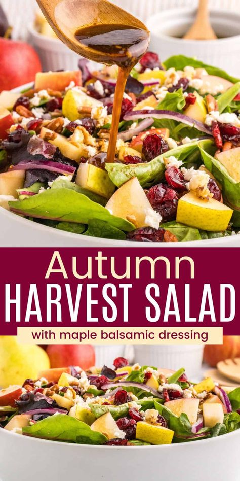 This Harvest Salad is studded with apples, pears, dried cranberries, and crunchy pecans to make a vibrant, fall-forward salad. It's finished with salty crumbles of feta cheese and a gorgeously creamy homemade balsamic dressing. It's wonderful for an autumn lunch or dinner, or as a Thanksgiving side dish! Fruit Salad Thanksgiving Recipes, Autumn Apple Salad, Fall Salads Recipes Autumn, Fruit Salad For Thanksgiving, Fall Pasta Salad Recipes, Balsamic Salad Recipes, Salad With Apples And Cranberries, Apples Salad, Fall Pasta Salad