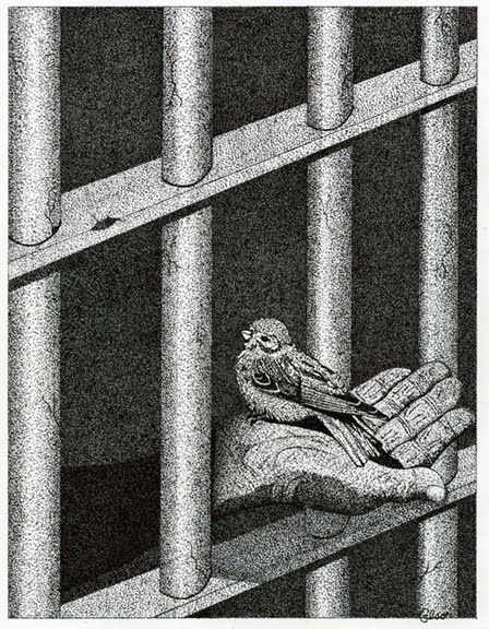 We think a caged bird sings..when indeed it crys Prison Drawings, غلاف الكتاب, Pablo Picasso Art, Prison Art, Jail Cell, Picasso Art, Escape Reality, Art Theme, Chicano Art