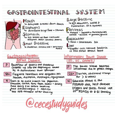 Upper Gi Nursing, Genitourinary System Nursing, Gi Disorders Nursing, Nursing Gastrointestinal Disorders, Gastrointestinal Nursing Notes, Med Surg Gi Disorders, Gerd Nursing Notes, Upper Gi Disorders Nursing Students, Gi Nursing Notes